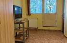 Garsonieră semidecomandată în Dristor - 5