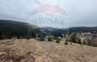 Teren de vanzare in inima Apusenilor 6.500 mp Arie?eni - 12