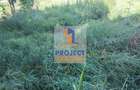 Teren intravilan de 2643 mp, în Bascov - 5