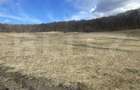Teren extravilan de vanzare, 2,4 hectare, zona drumul Tarpiu - 4