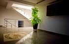 Apartament 2 camere decomandat , bloc 2010, Tătărași, Ciurchi - 4
