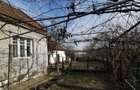 Casă cu 3 camere cu Teren 2600 Mp în Biharia - 5