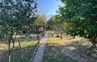 Casă cu 3 camere în Lugoj - 5