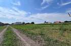 Teren Construcții de 500 mp, în Stupini - 2