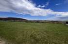 Teren intravilan , 1.000 mp , zona Motel Gilau - 2