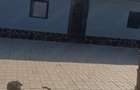 Vand sau schimb casa - 8