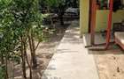 Sat Murani, Com. Pischia, Judetul Timis - 6
