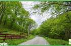 Teren forestier compact, 39,42 ha, Cheia Maneciu, ECX30374 - 3