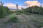 Vand teren de casa 520 mp, Lenin Sud, Troianu, intravilan - 5