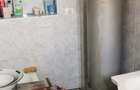 Casă cu 2 camere în Sebiș - 10