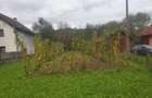 Vand teren si casa veche in viseu de jos - 2