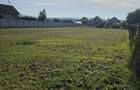 Teren ( 2 parcele a cate 1000mp ) de vanzare intravilan Reghin - 6