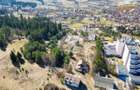 20.000mp teren+Proiect investitional rezidentialaparthotel,in inima st - 6