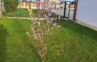 Casa moderna intr-un peisaj de vis, situata intre Pitesti si Valcea - 7