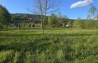 Teren de vanzare intre Borsa si Moisei Maramures! - 4
