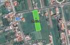 Teren Construcții intravilan de 9300 mp, în Chistag - 1