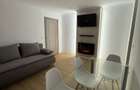 Apartament 38 mp, complet renovat, mobilat si utilat, parter, Zona 3 Mocani Mutare imediata - 7