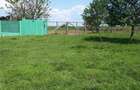 Vand casa cu gradina - 8
