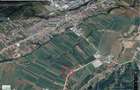 Teren Mioveni,3 drumuri de acces,langa Haulotte - 1