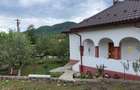 Oferta!Vand casa in zona de munte,Corbsori ,jud Arges,tot confortul - 1