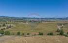 Teren Construcții intravilan de 6900 mp, în Bran - 7