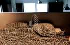 Penthouse de lux 2 cameresituat pe Malul Muresului - 5