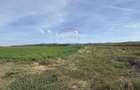 Teren agricol extravilan de 25697 mp, în Bonțida - 3