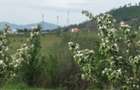 Vand teren in intravilanul ora?ului - 10