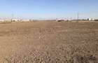 Teren Extravilan 2hectare in Chitila perfect pentru constructii - 4