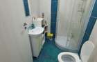 Apartament cu 2 camere decomandat în Roșu - 11