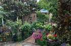 Casa premium de vanzare - 3