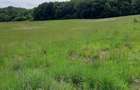 Teren agricol extravilan de 44500 mp, în Nadăș - 1