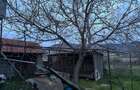 Casă cu 4 camere cu Teren 1700 Mp în Greci - 7