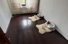 Apartament cu 4 camere decomandat în Frumoasa - 2