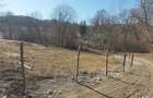 Particular vand teren intravilan construibil 1360 mp. in Breaza Valea Tarsei 14euro/mp. - 3