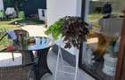 Vand casa, Odoreu - 10 minute de mall Satu Mare - 4