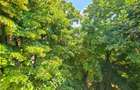 Apartament cu 3 camere decomandat în Titan - 8
