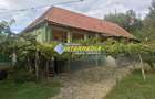 Casa in Cricau cu 3 camere de vanzare teren de 1300 mp - 17