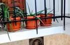 Inchiriez Apartament doua camere direct pe Calea Floreasca, stradal. - 8