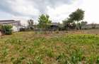 TEREN 949 MP CU CASĂ – STR. MILITARI, BACĂU | OCAZIE RARĂ - 1