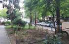 Apartament cu 2 camere semidecomandat în Brâncoveanu - 14