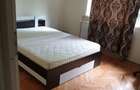 Apartament Piata Resita - 3