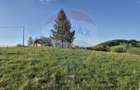 Teren Construcții de 11600 mp, în Poiana Mărului - 19