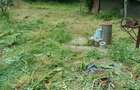 Casă cu 2 camere cu Teren 700 Mp în Moara Vlăsiei - 4