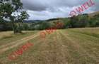 De vânzare teren extravilan loc. Sărămaș - 7