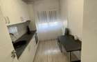 Apartament 2 camere pe Bd. Banu Manta - 2