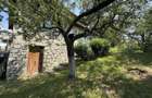 Casă parter+mansarda 80 mp+ teren intravilan 476 mp Sotrile Prahova ! - 28