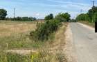 Mediesu Aurit, 1,5ha teren - 1
