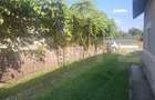 Proprietate cu 2 case, 2.100 mp teren si multiple anexe - 1