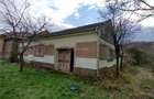 Bogodint, Casa cu 4 Hectare Teren, Pret Negociabil - 1